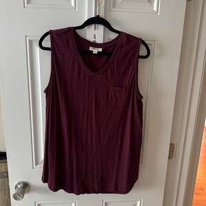 NWOT Loose Fit V-Neck Cotton Tank - Size Large
